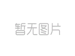 哈萨克斯坦庆祝“国际中国日”